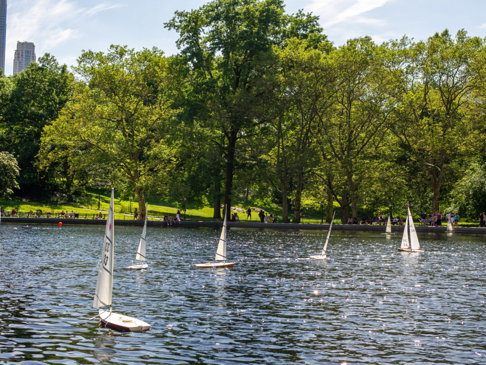 Conservatory Water 20190612 02