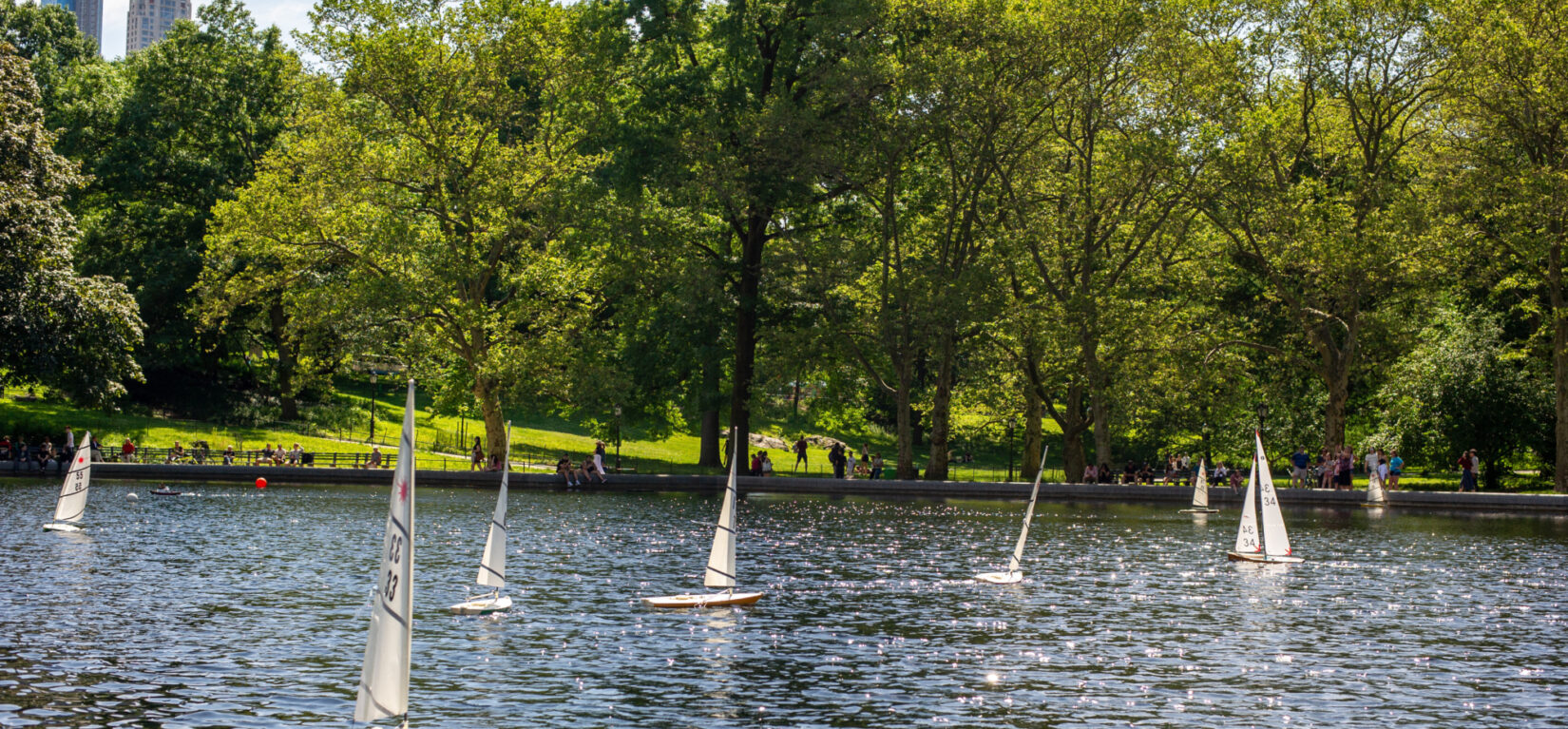 Conservatory Water 20190612 02