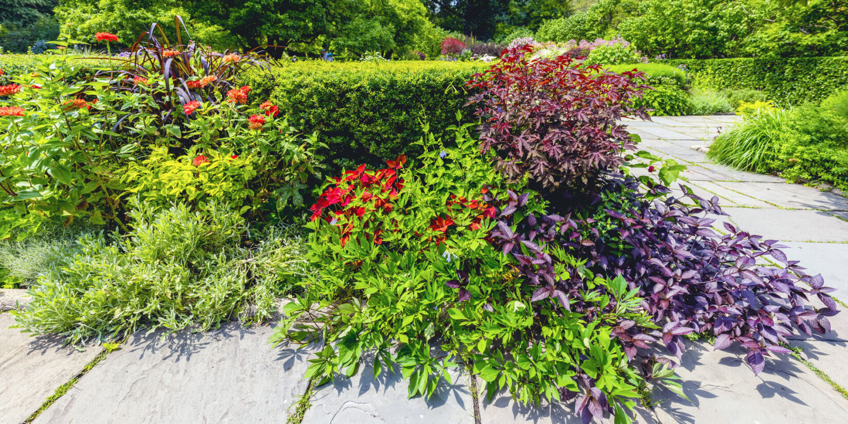 Conservatory Garden 20210728 09