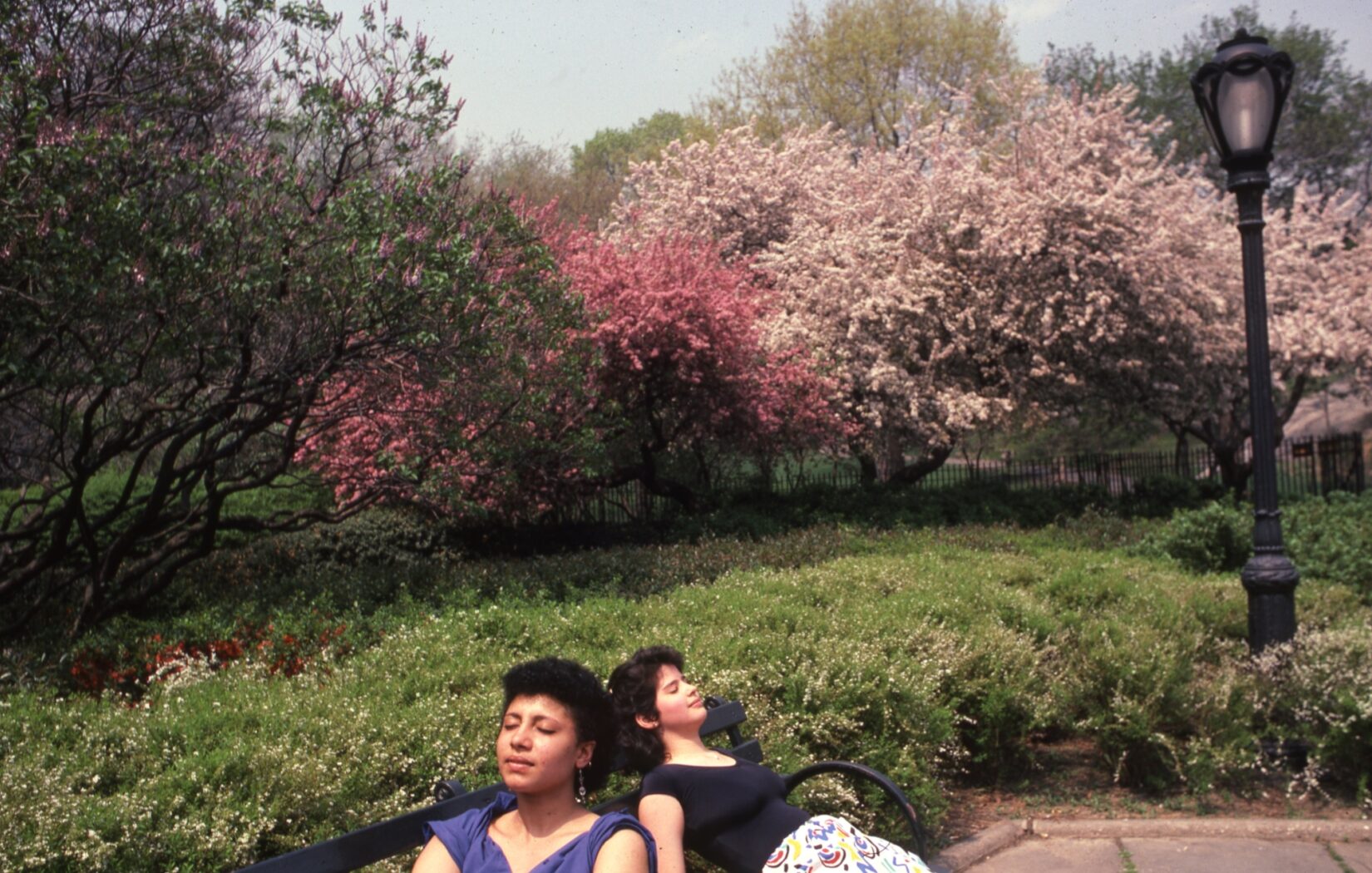 Two young women appear to be napping on a bench in the garden, surrounded by spring blossoms.