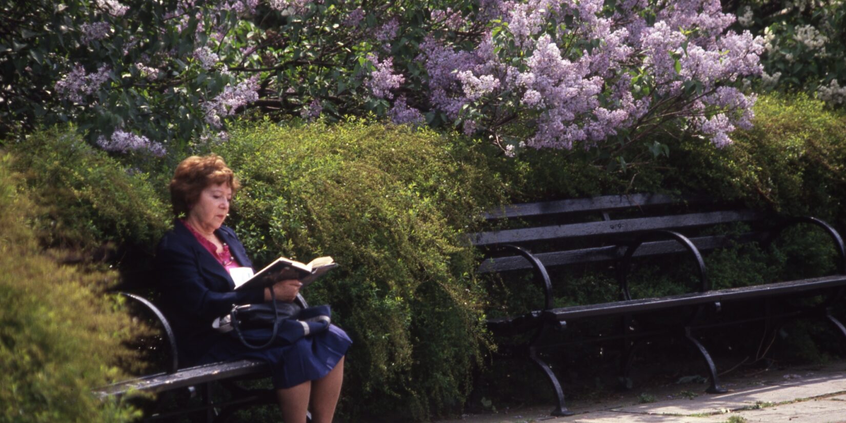 A woman sits alone on a bench in the Garden, reading a book.