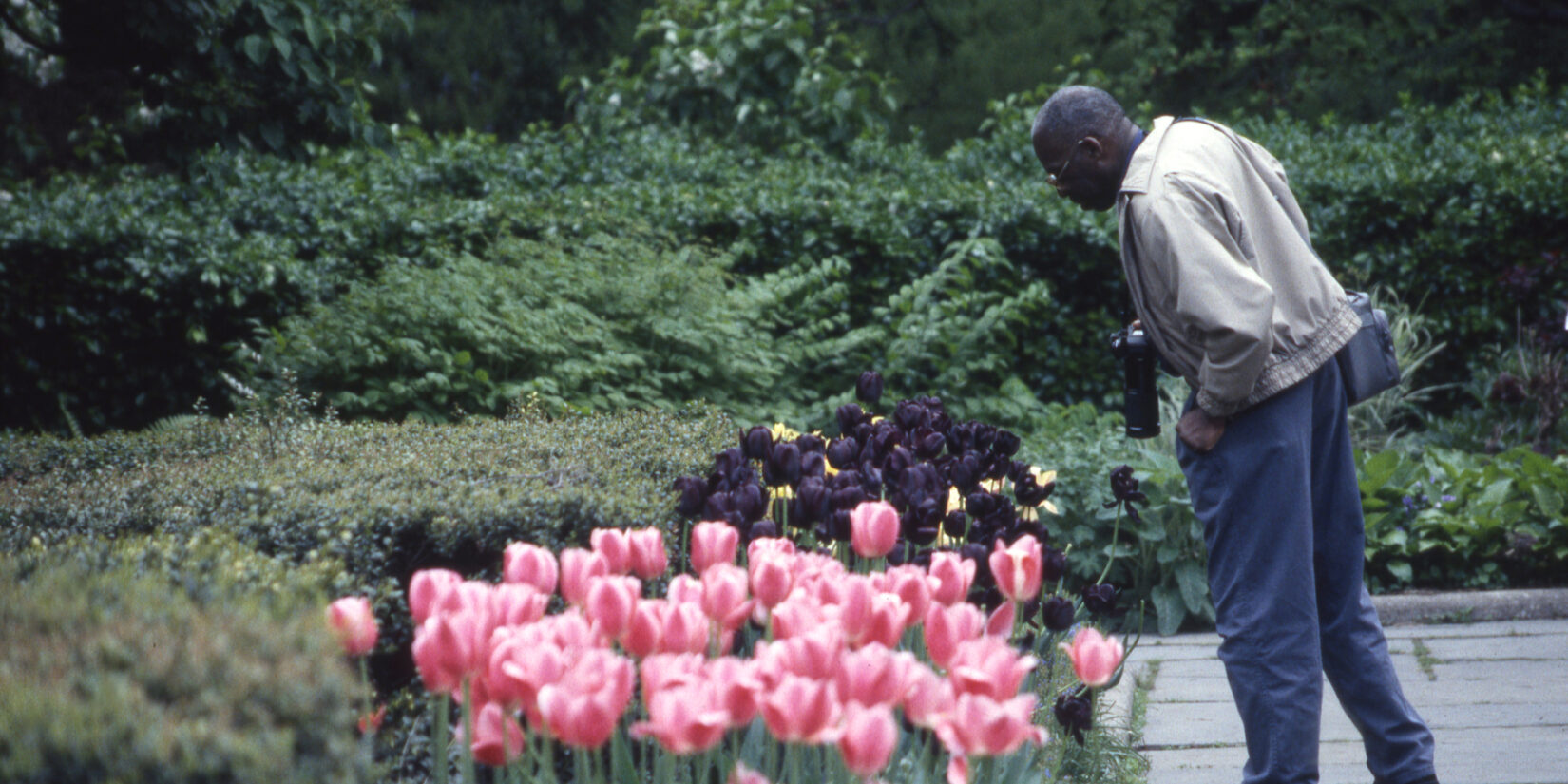 A photographer gets a closer look at some deep purple blooms in the Garden