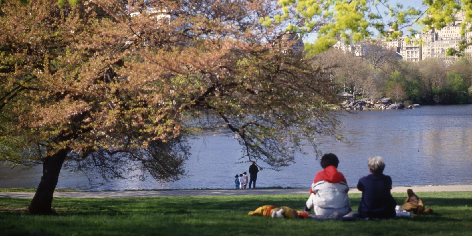 Two women and a dog relax on the Hill, overlooking the water