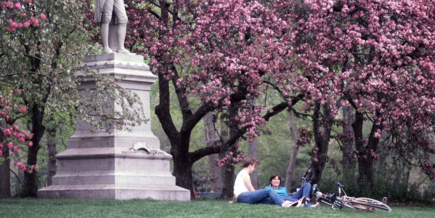 A couple relaxing on the grass beside the Pilgrim statue, with the background filled with cherry blossoms