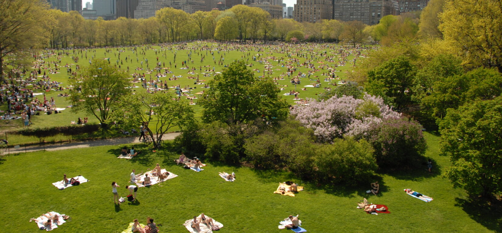 Visitors enjoying the sunshine dot the Sheep Meadow landscape