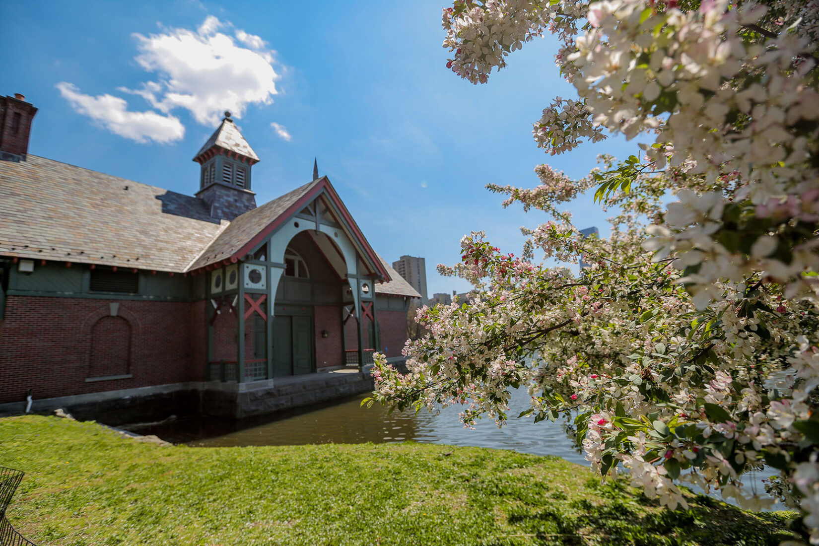 The Dana Discovery Center is pictured on the banks of the Harlem Meer under a blue sky, framed on one side by a blooming tree