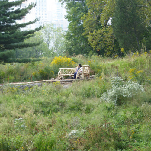 Rustic seating pictured on Dene Slope