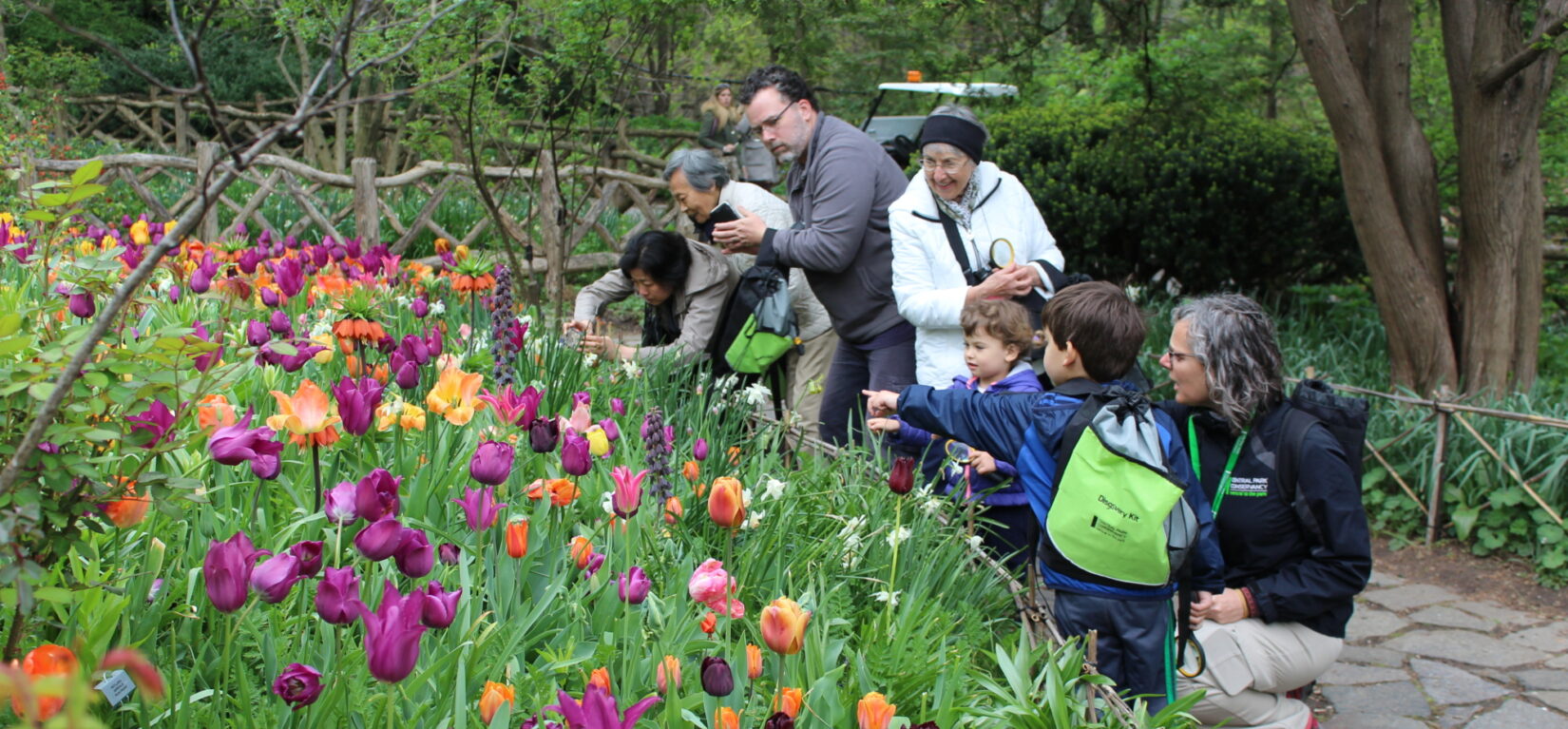 Kids and adults enjoy the tulips up-close in Shakeseare Garden