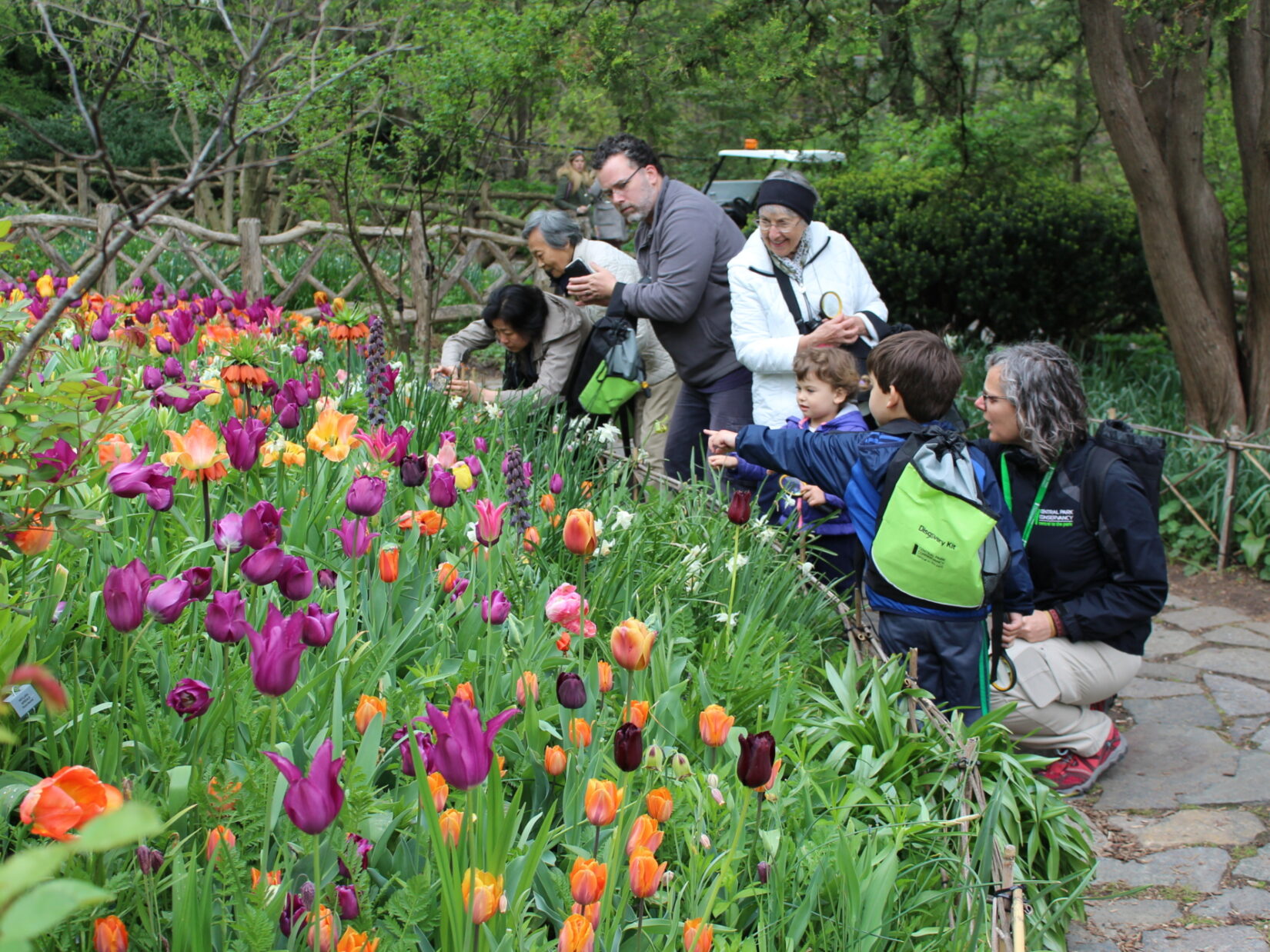 Kids and adults enjoy the tulips up-close in Shakeseare Garden