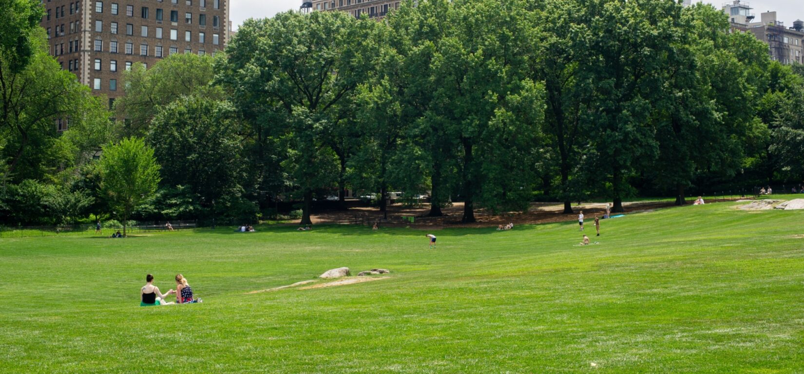 Visitors spread out on the lawn of the East Meadow