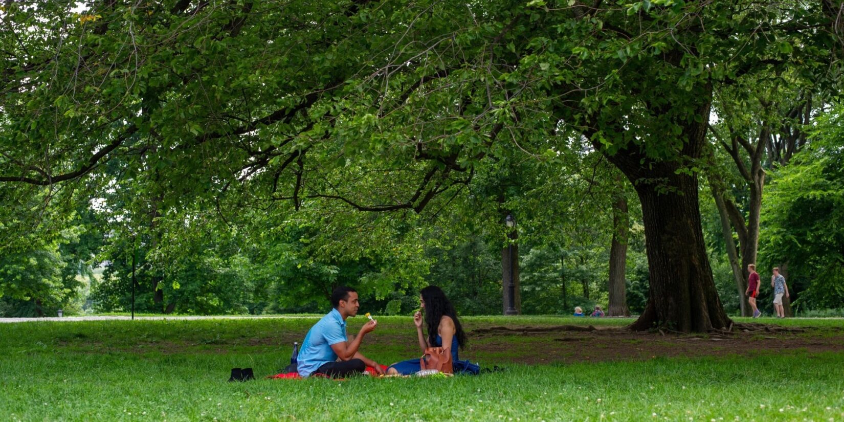 A couple enjoy the broad shade under a Park tree.