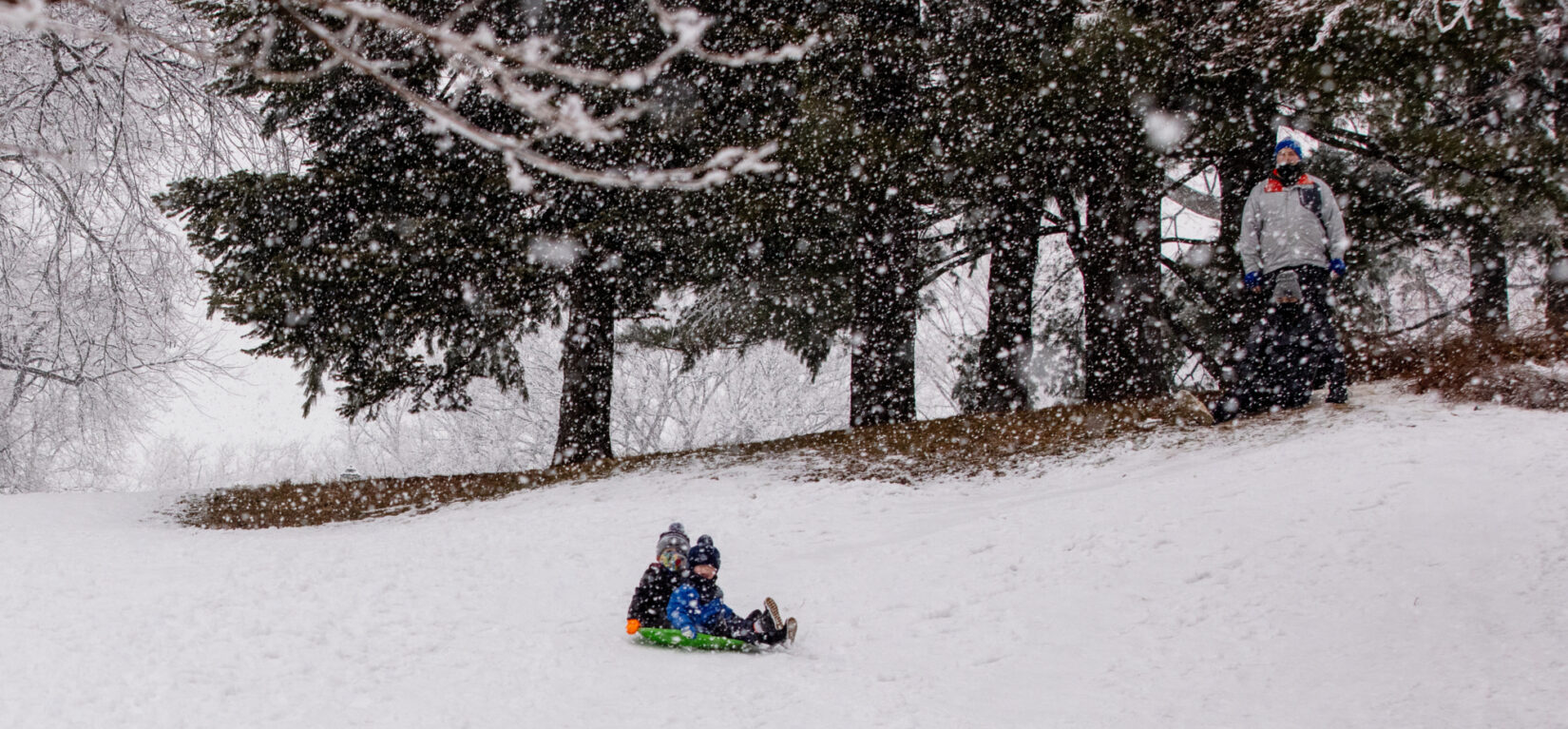 Two small children sled down a snowy landscape together, with snow-covered evergreen trees in the background.