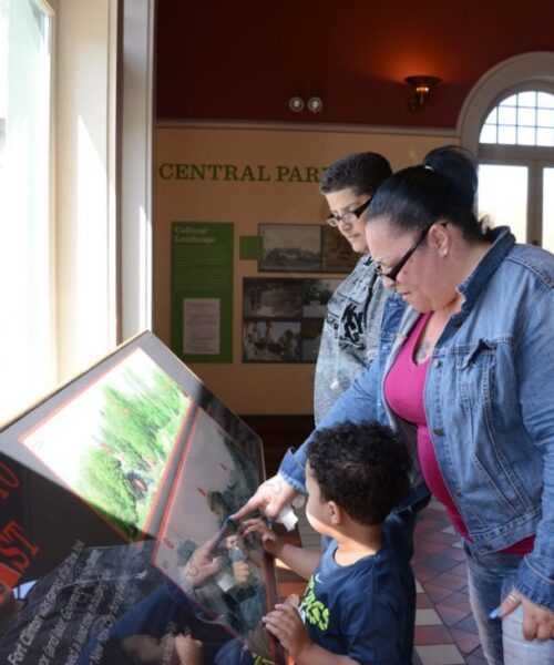 Visitors examining the Landforms exhibit