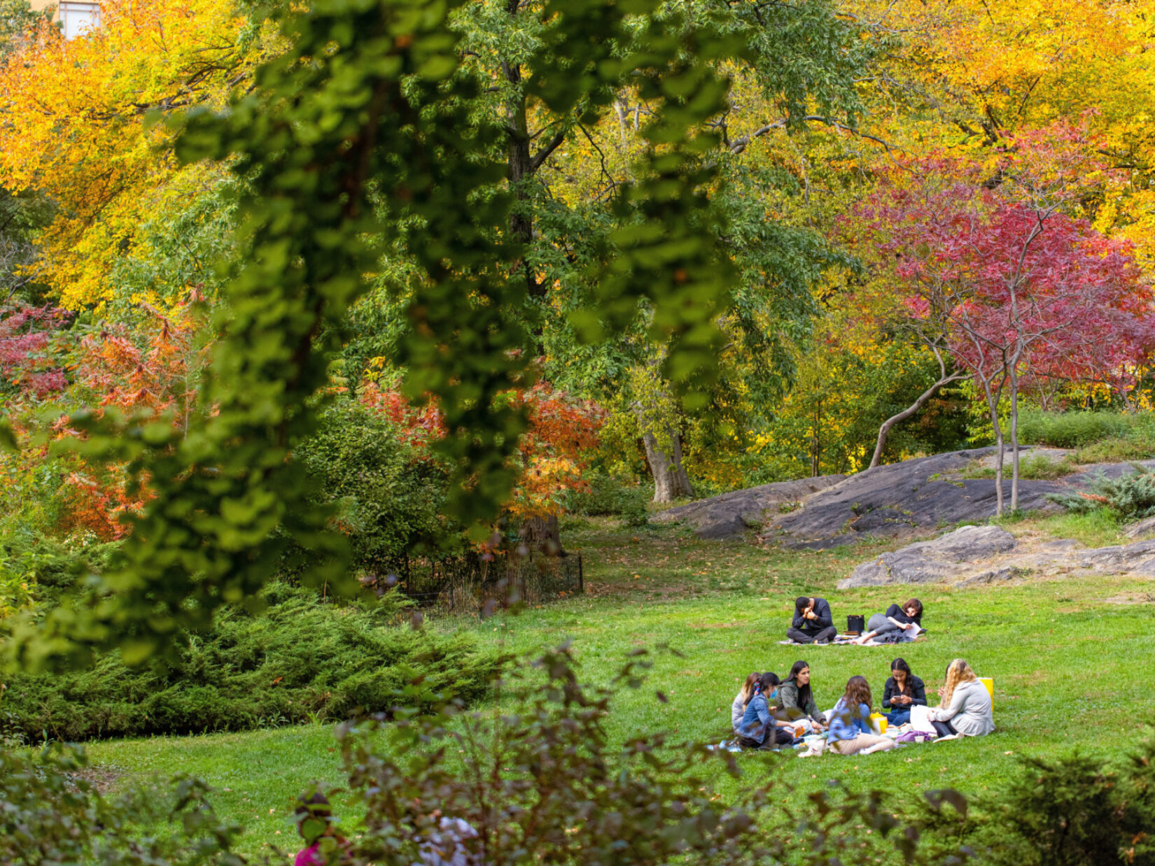 Friends relaxing in the park, surrounded by fall foliage