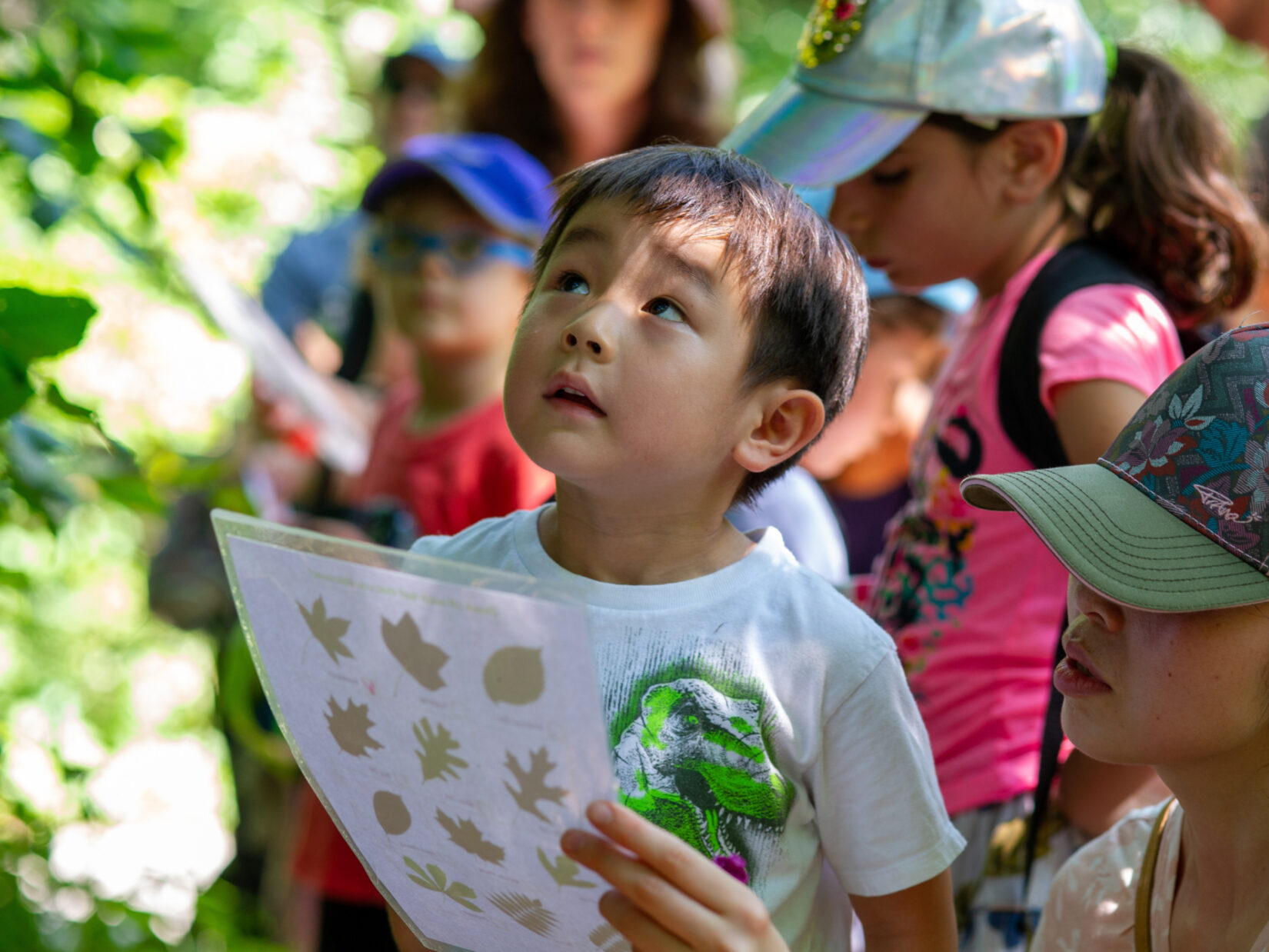 Kids enjoying a Discovery Walk in the North Woods