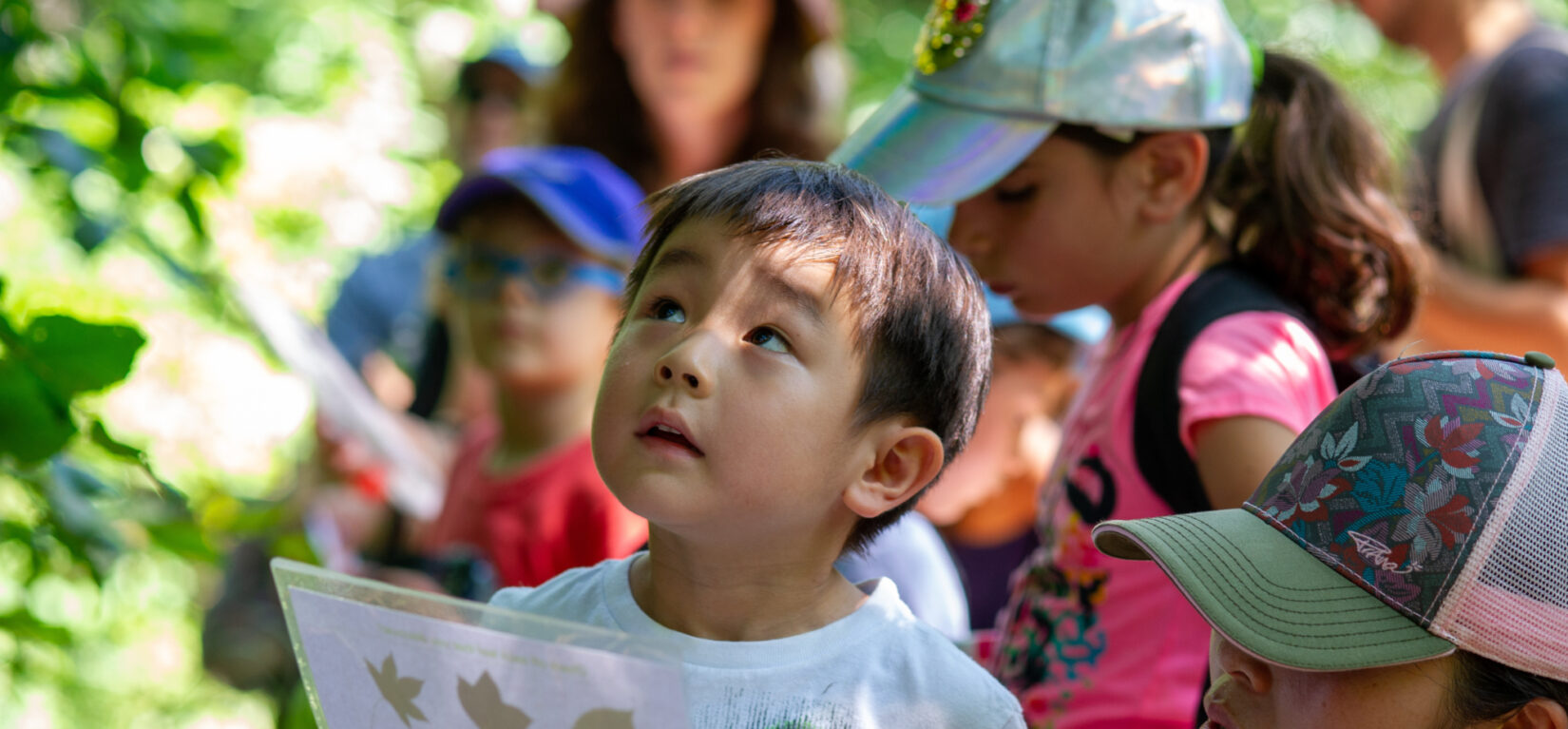 Kids enjoying a Discovery Walk in the North Woods