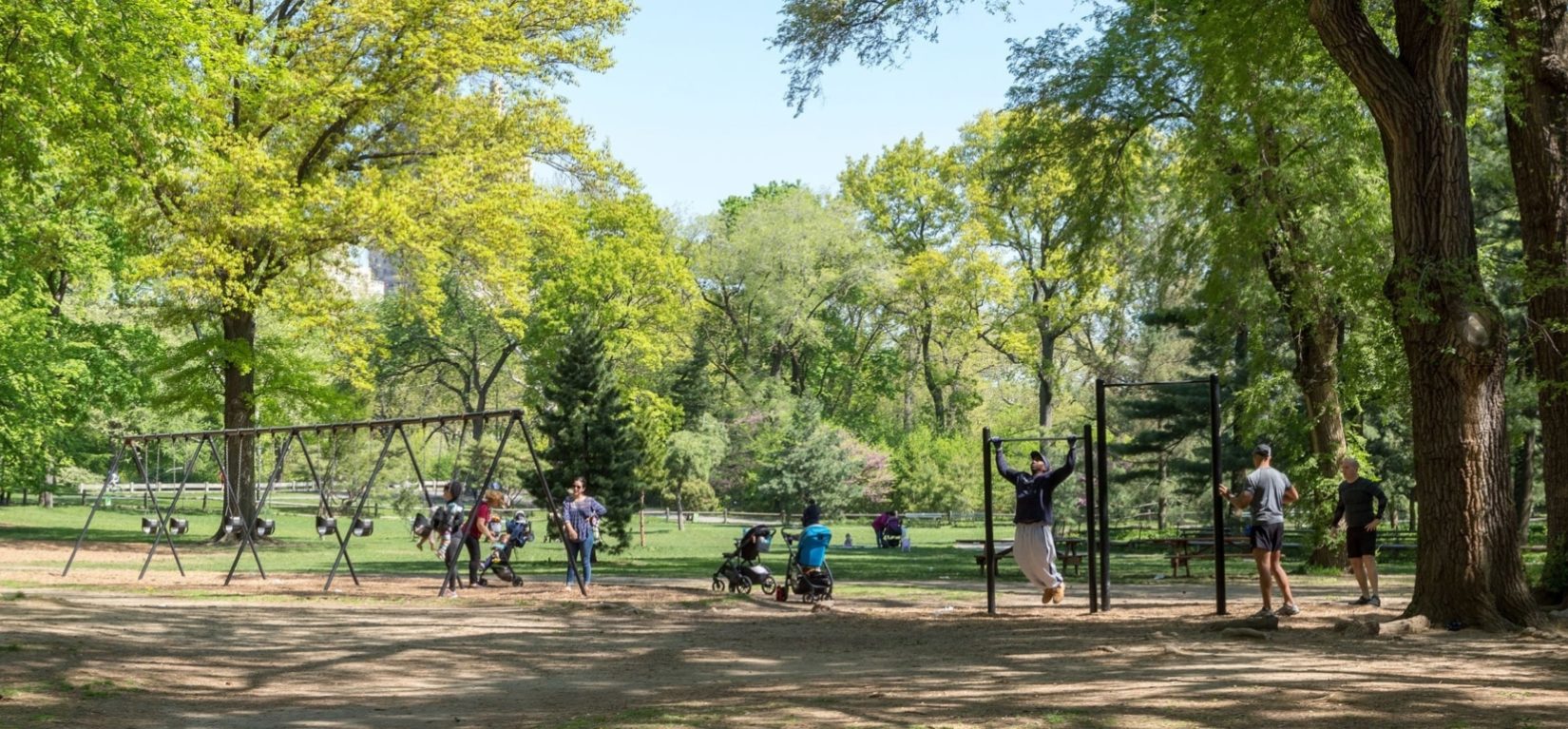 Ff wide 3x Pinetum Playground