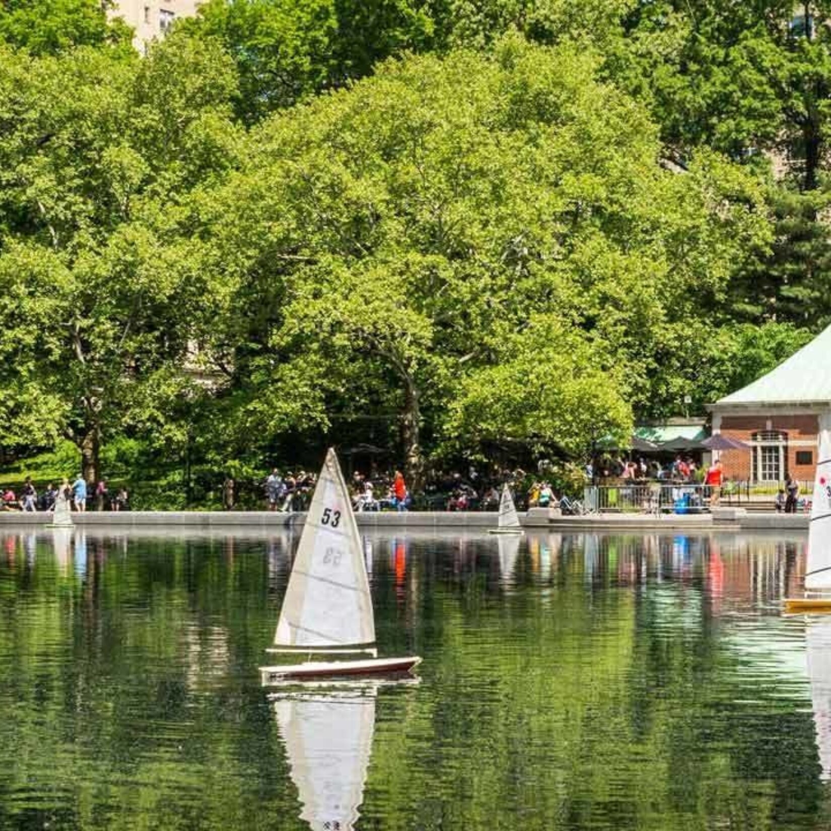 Model sailboats are reflected in the stillness of Conservatory Water.