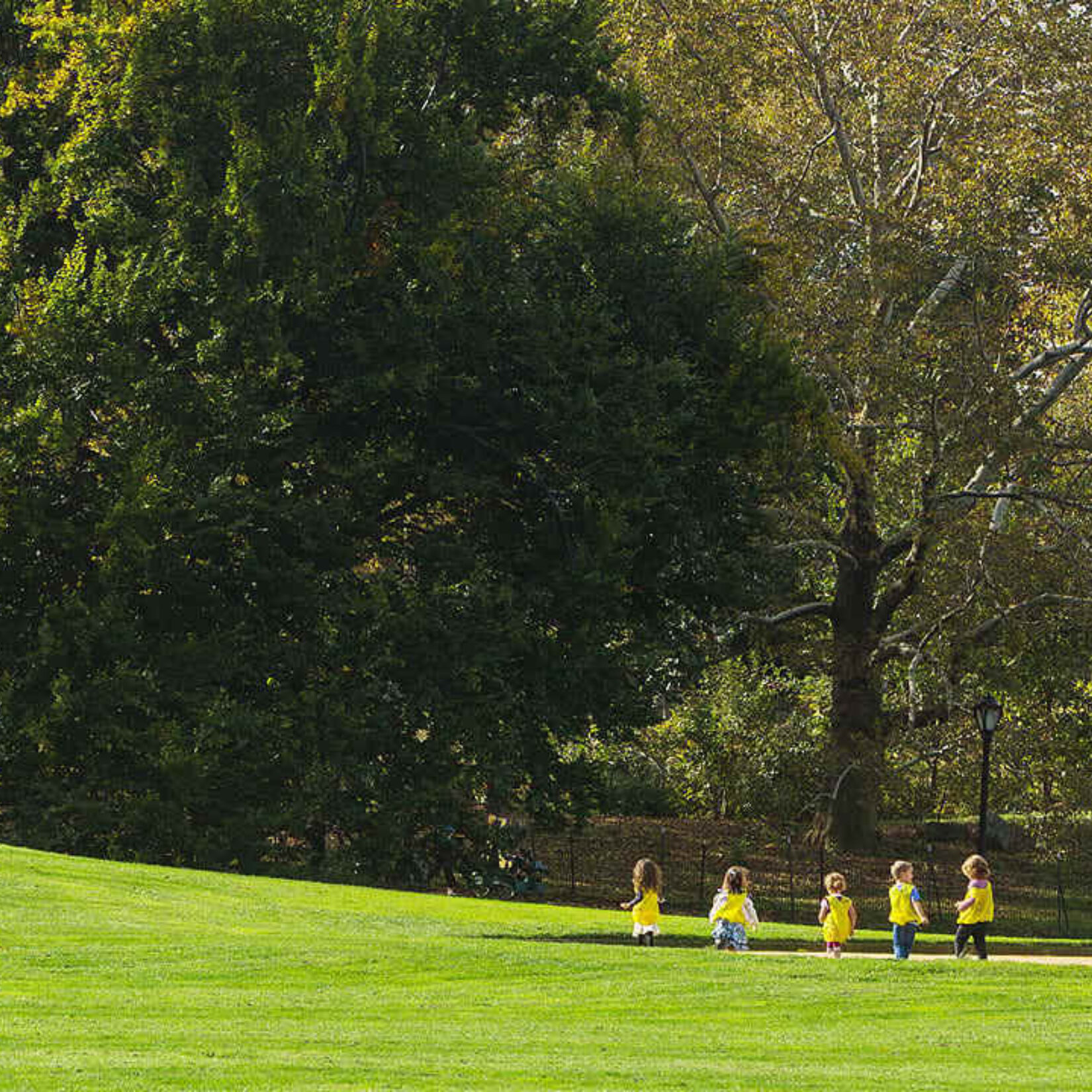 A rolling hill in the distance is scaled by a small group of young children on a sunny, autumn day.