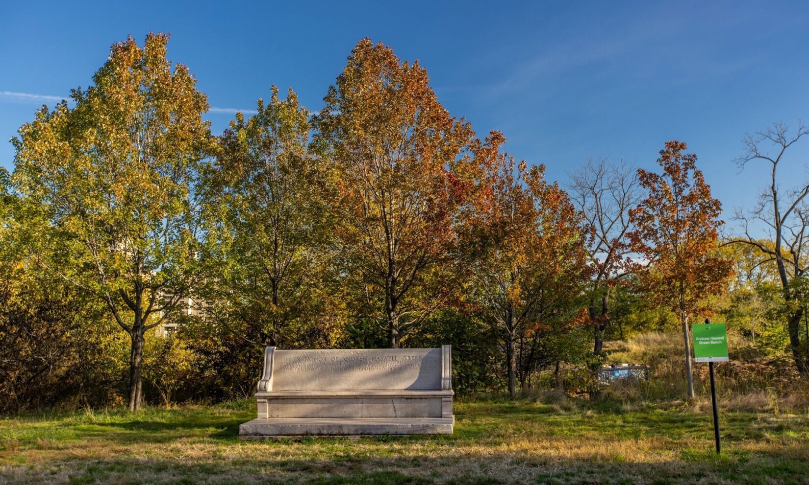 A frontal view of the bench sitting in front of a leafy, fall-colored stand of trees.