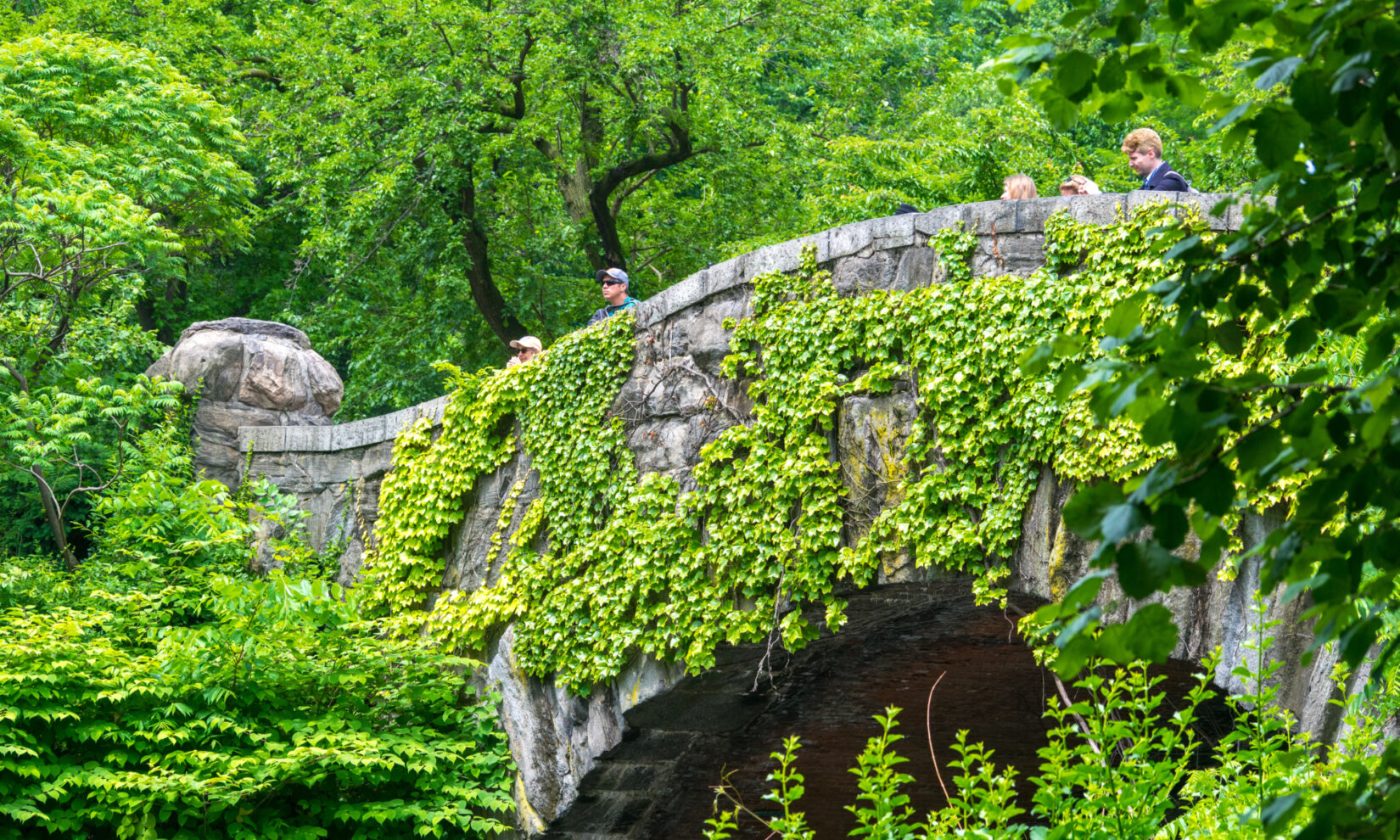 The bridge is camouflaged by ivy and leafy branches.