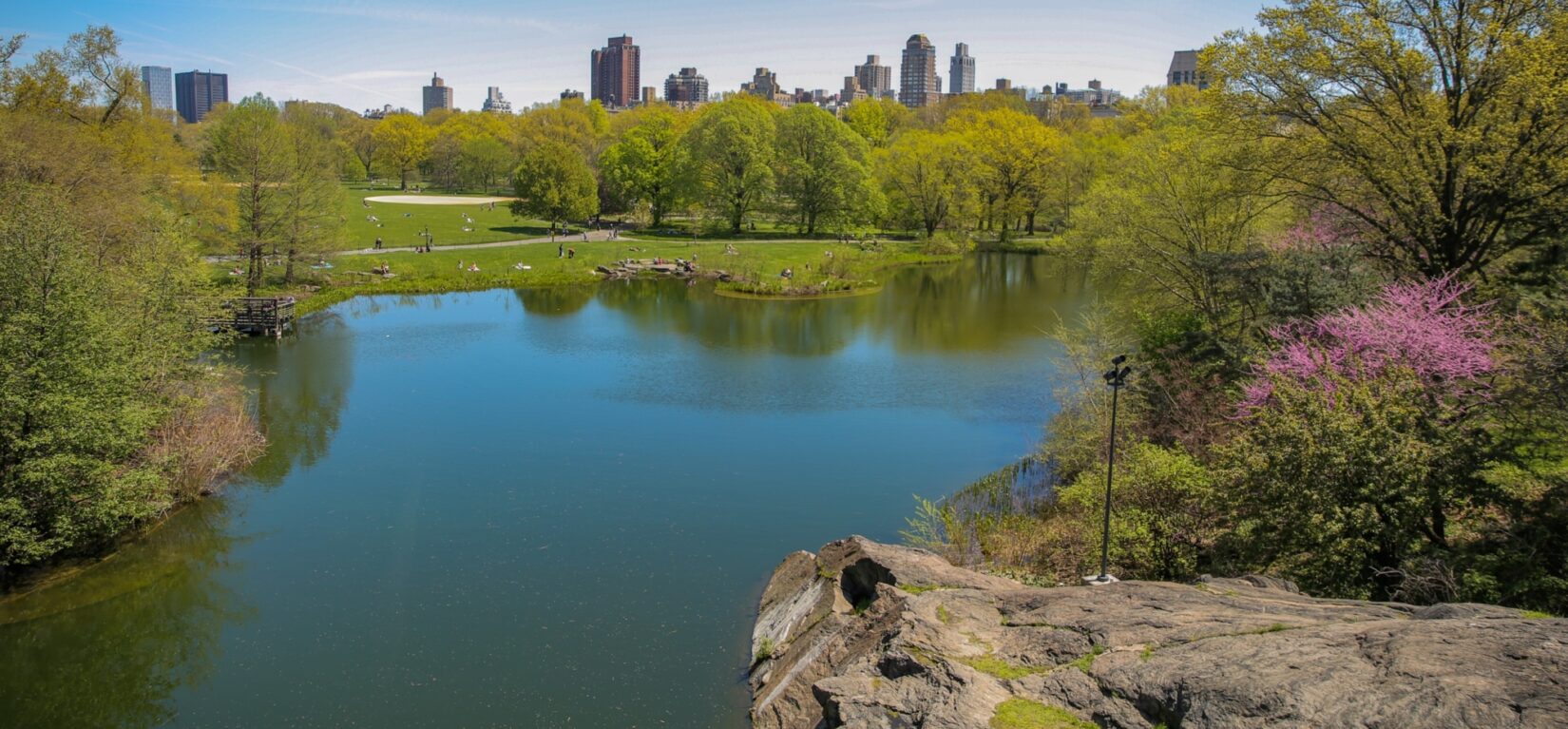 Looking across Turtle Pond toward the East Side of Manhattan