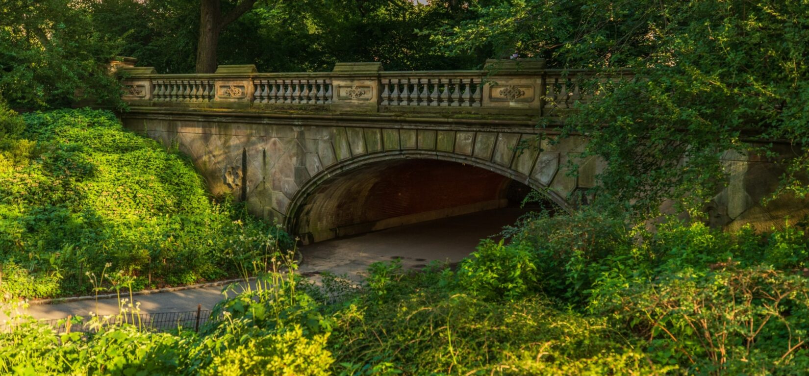 Glade Arch in summer