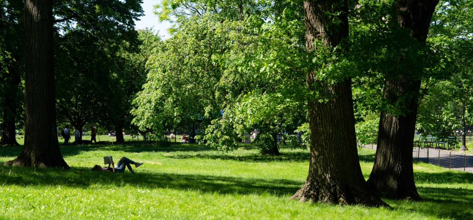 A woman relaxing on the lawn beside the East Drive