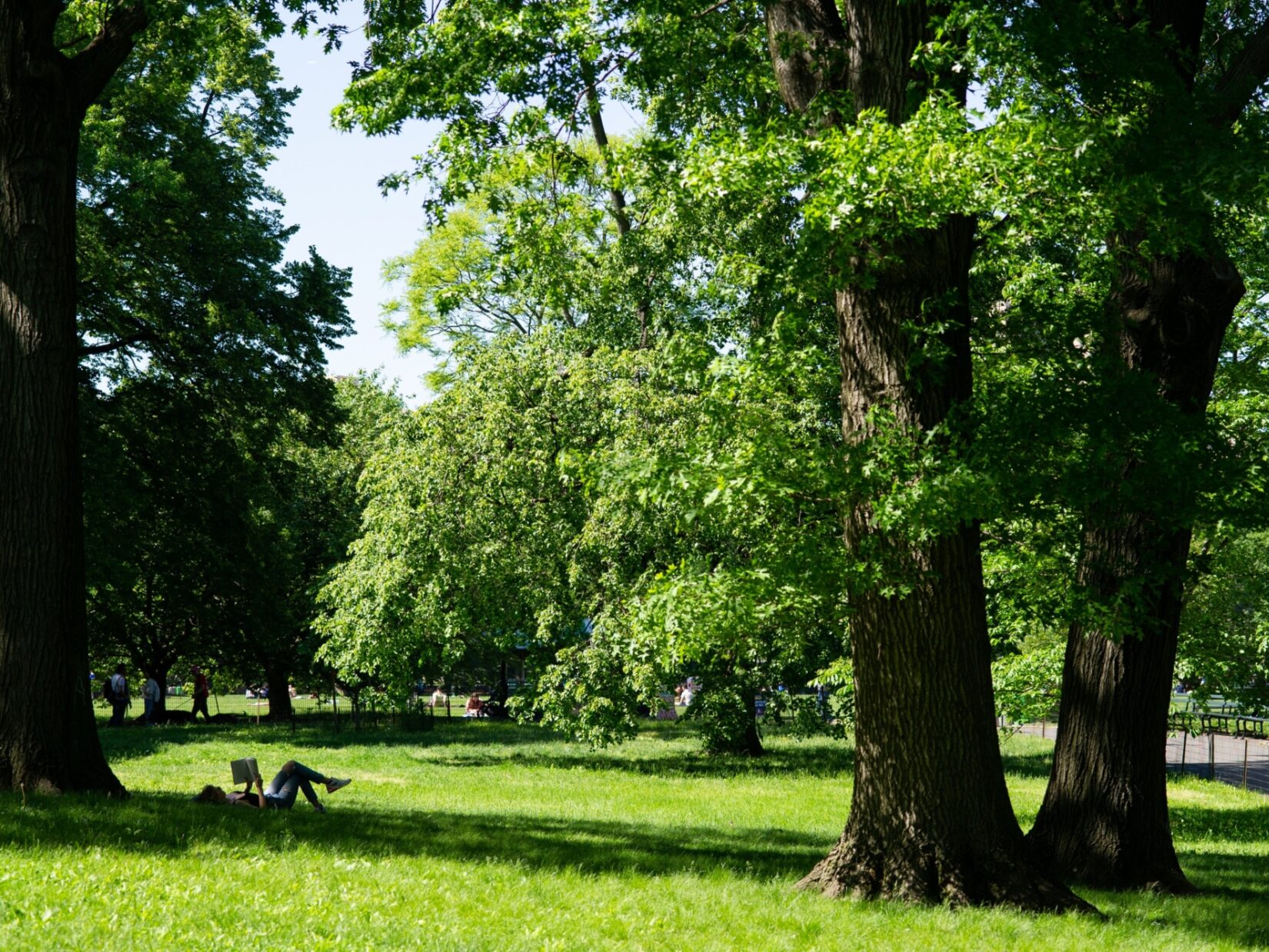 A woman relaxing on the lawn beside the East Drive