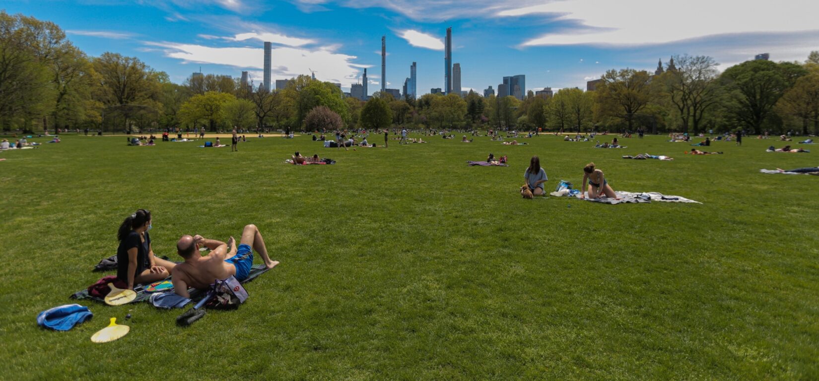 A sweeping view of the great lawn in early autumn, with the skyline of 57th Street in the background