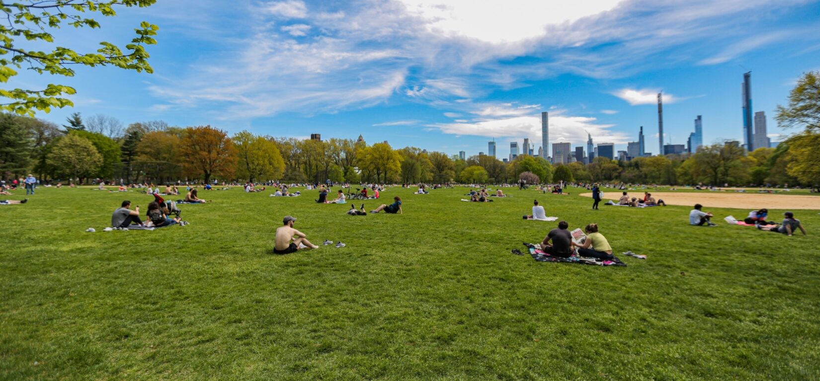 Socially-distanced parkgoers enjoying a summer day on the lawn