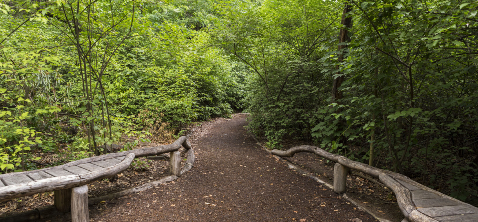 A path, lined with rustic features, winds into the Sanctuary