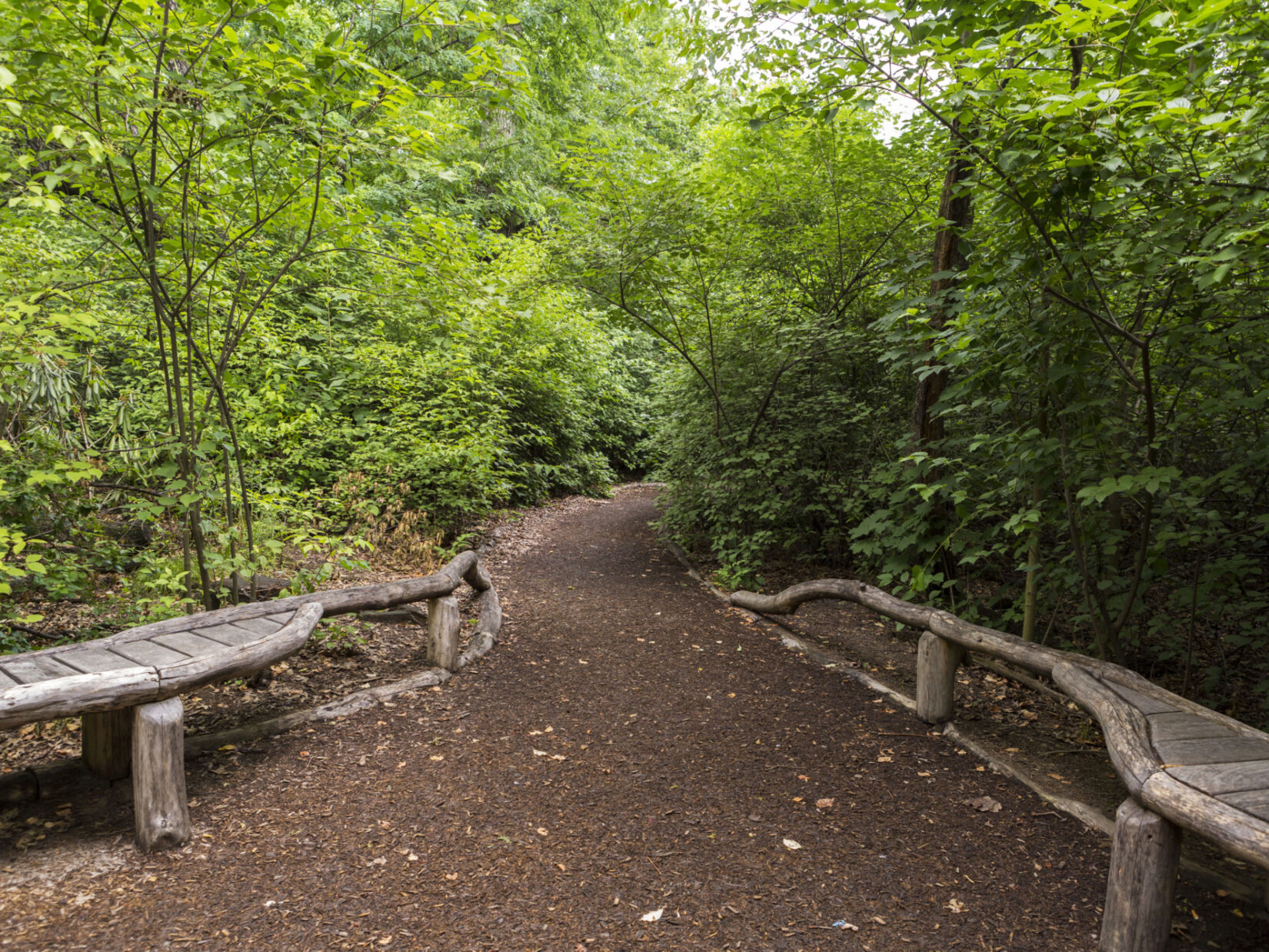 A path, lined with rustic features, winds into the Sanctuary