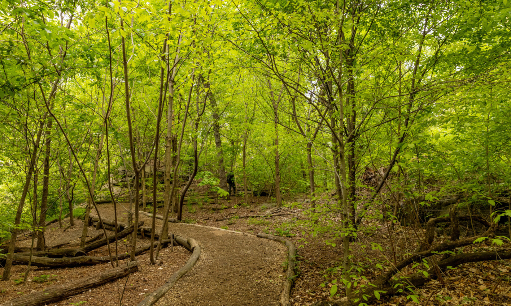 Hallett Nature Sanctuary 20210503 9052