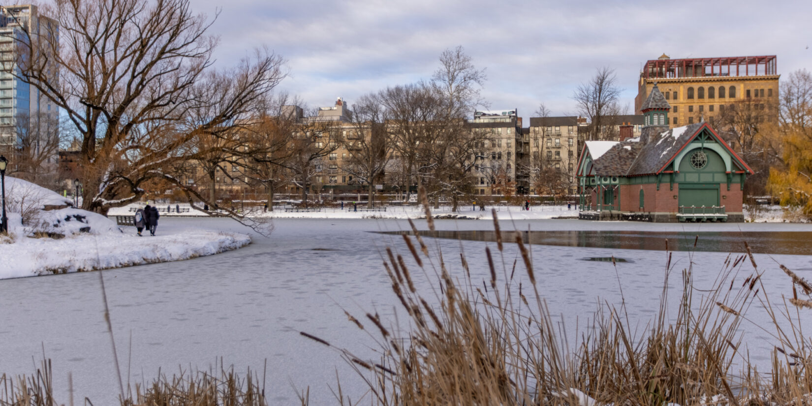 Harlem Meer 20201217 3208