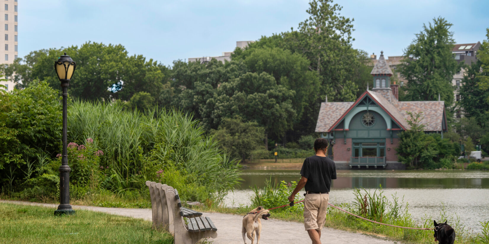 A park visitor walking their dog next to the Harlem Meer