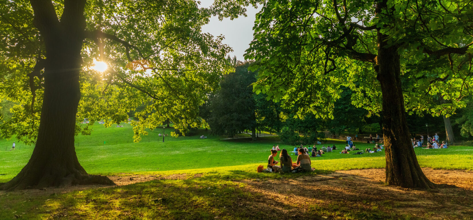 Visitors picnicking on Cedar Hill