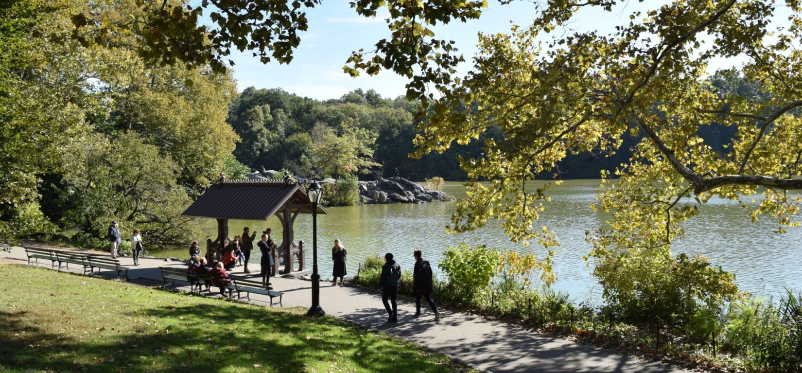 Visitors take in the view from the Hernshead Boat Landing on a sunny day