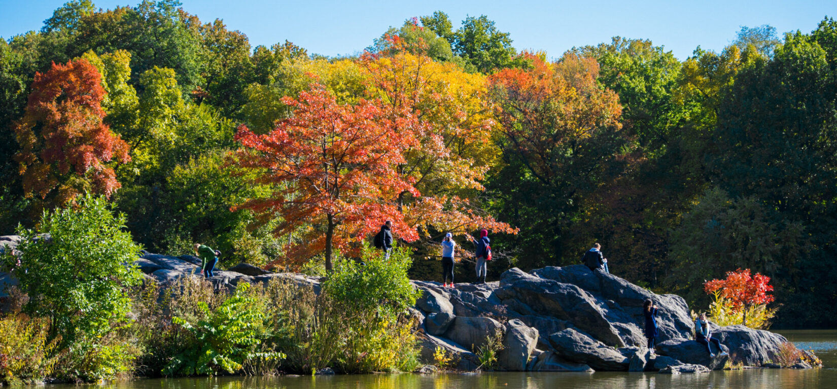 A fall view of Hernshead, overlooking the Lake, with Park visitors enjoying the bright foliage.