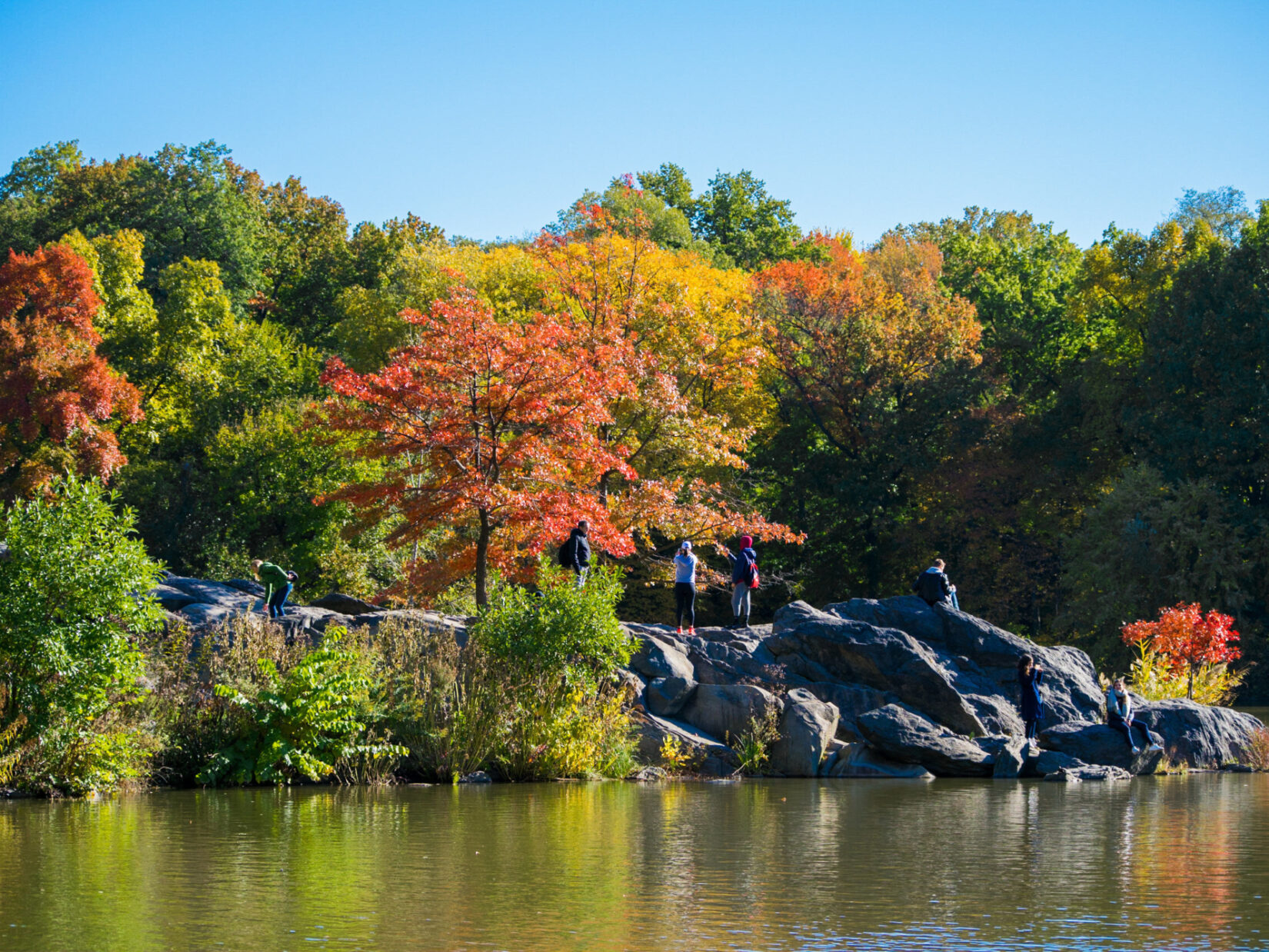 A fall view of Hernshead, overlooking the Lake, with Park visitors enjoying the bright foliage.