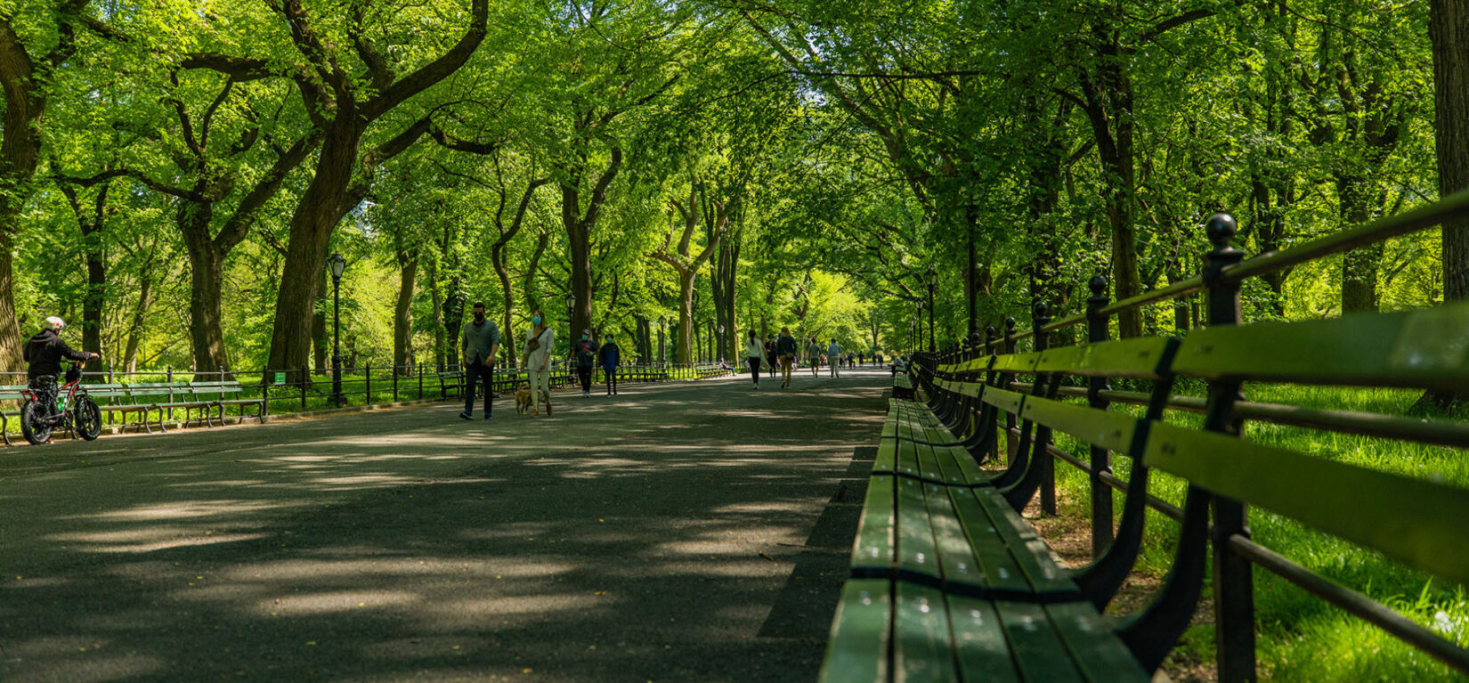 The Mall on a summer day