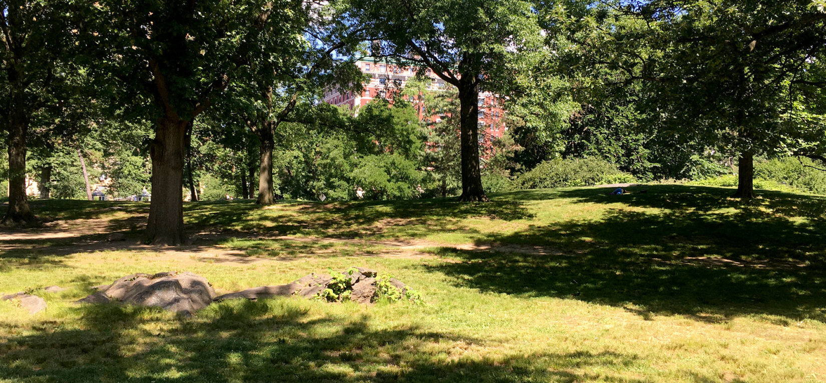 The site of Seneca Village in the present day Park