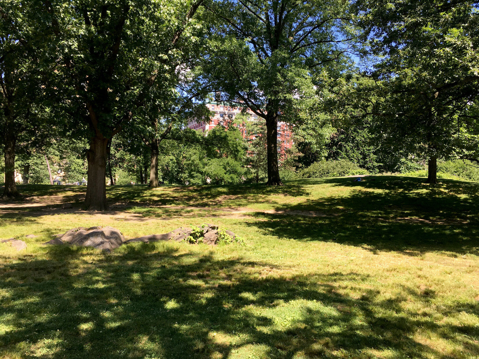 The site of Seneca Village in the present day Park