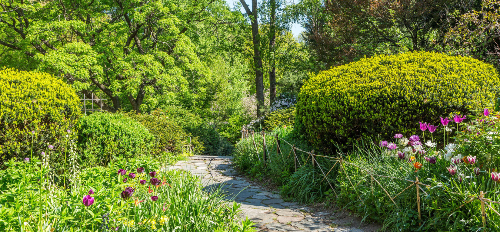 Shakespeare Garden on a sunny spring day