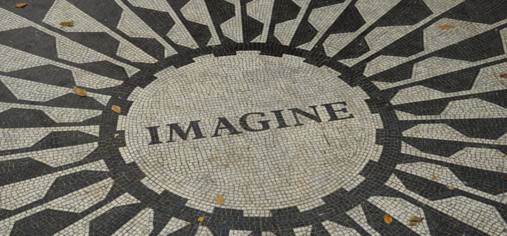 Imagine Mosaic 20180921 0004