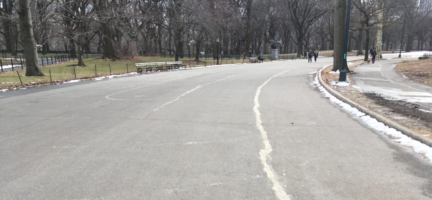 Image of a roadway in Central Park