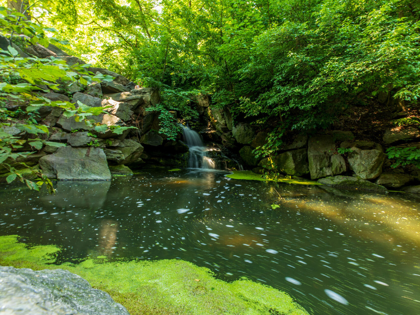 A small waterfall in the Ramble