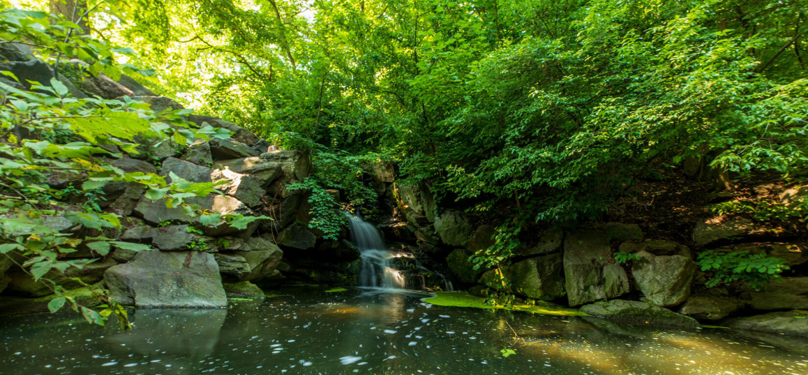 A small waterfall in the Ramble