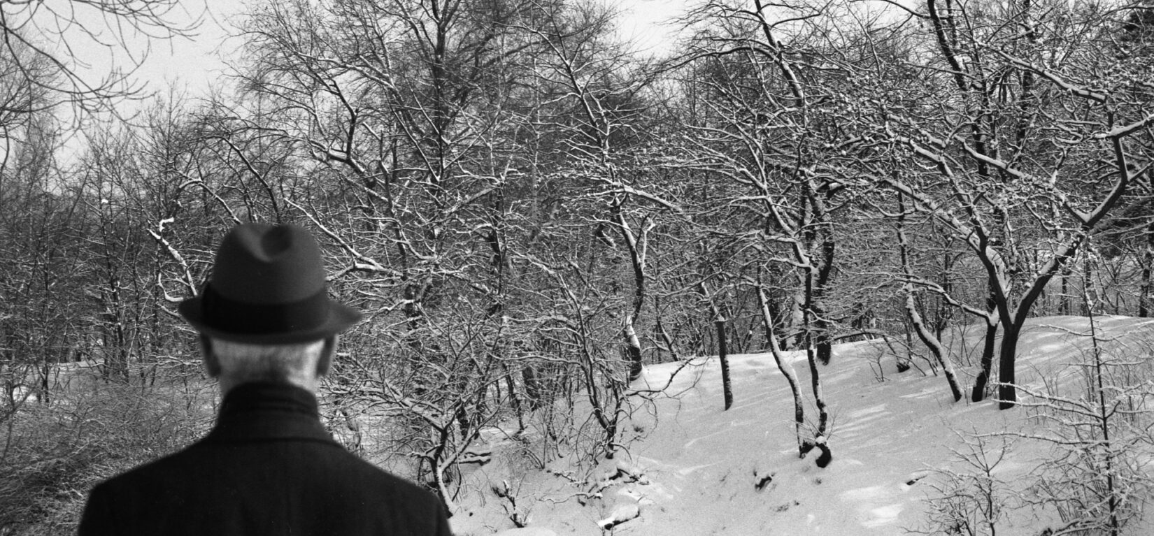 A man in a fedora is seen from behind with a wintery scene in the background