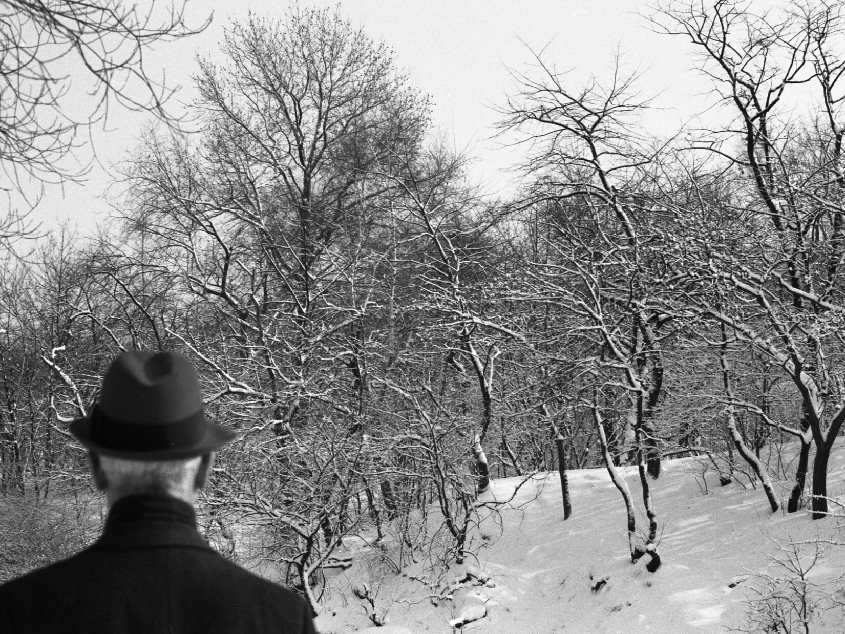 A man in a fedora is seen from behind with a wintery scene in the background